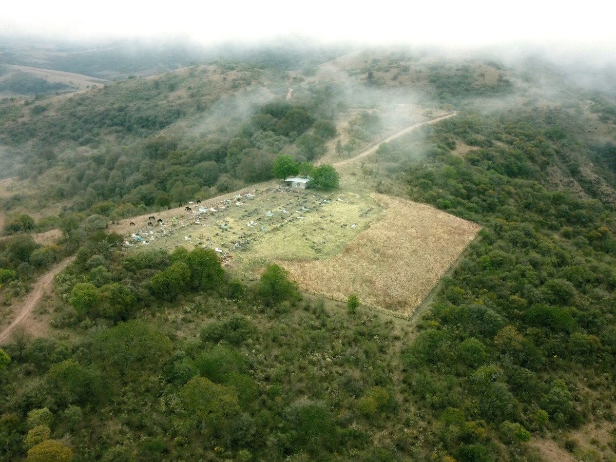 UN CINE SENDERO: «NUESTRA TIERRA» (LUCRECIA MARTEL, 2025)
